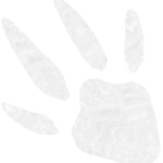 Infobox_Paw_Axo