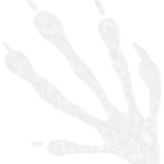 Infobox_Paw_Basilisk
