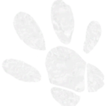 Infobox_Paw_GuineaPig