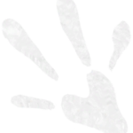 Infobox_Paw_Intern