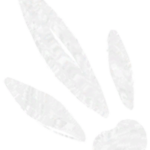 Infobox_Paw_Pengolin