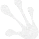 Infobox_Paw_Toad